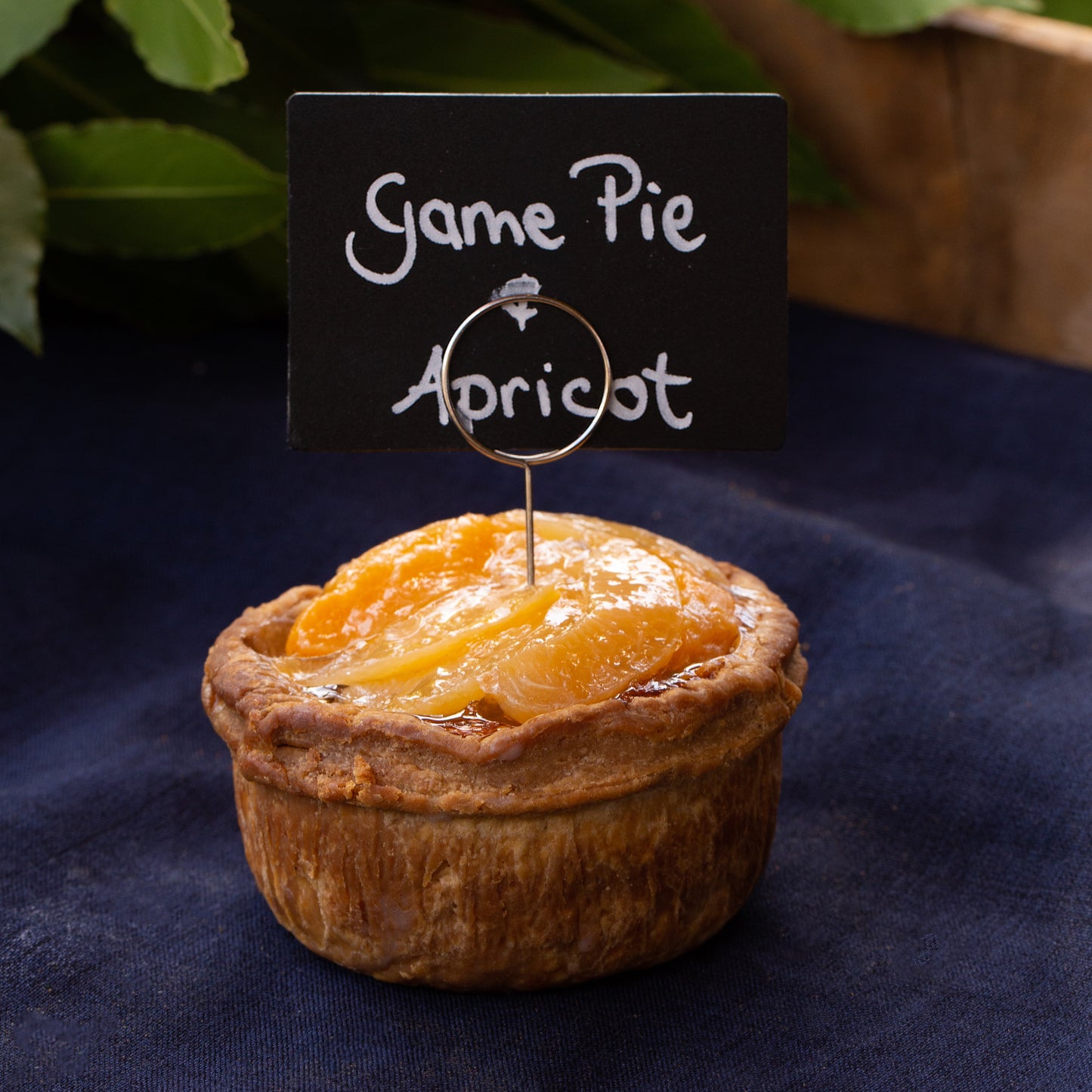 Picnic Game Pie with Apricot Top
